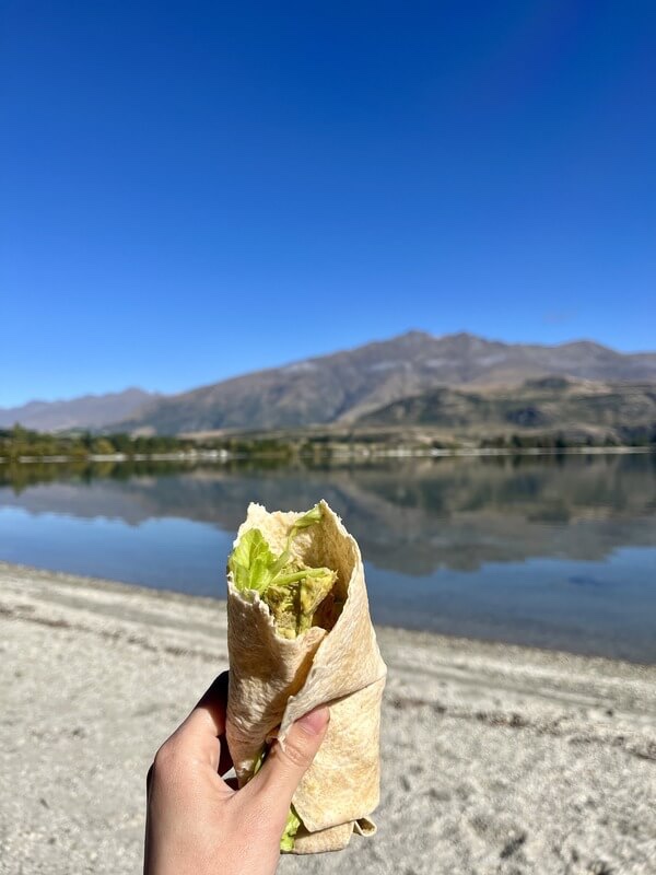 紐西蘭午餐湖邊野餐